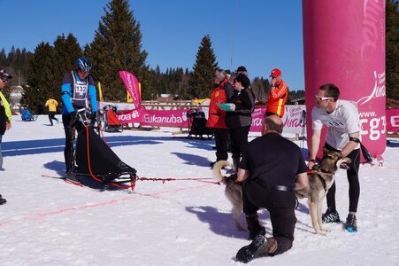 La Pesse 2014  Course de chiens de traineau  (dimanche 09/03/2014), DSC05462