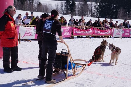 La Pesse 2014  Course de chiens de traineau  (dimanche 09/03/2014), DSC05463