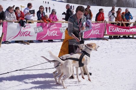 La Pesse 2014  Course de chiens de traineau  (dimanche 09/03/2014), DSC05471