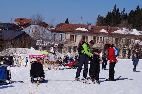 La Pesse 2014  Course de chiens de traineau  (dimanche 09/03/2014), DSC05472