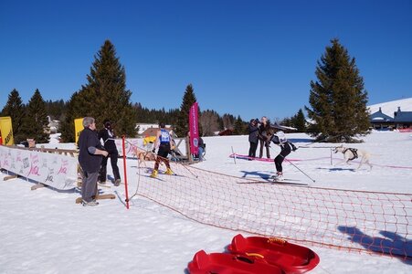 La Pesse 2014  Course de chiens de traineau  (dimanche 09/03/2014), DSC05475