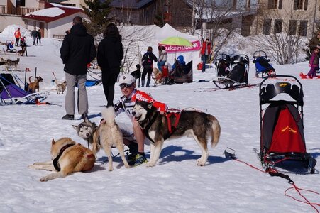 La Pesse 2014  Course de chiens de traineau  (dimanche 09/03/2014), DSC05477