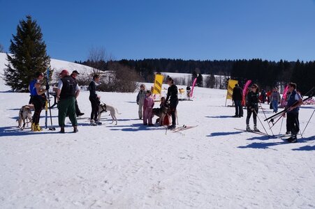 La Pesse 2014  Course de chiens de traineau  (dimanche 09/03/2014), DSC05478