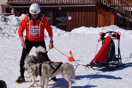 La Pesse 2014  Course de chiens de traineau  (dimanche 09/03/2014), DSC05480