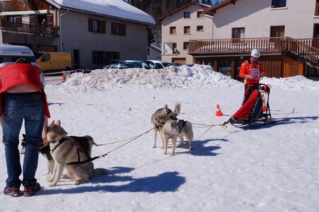 La Pesse 2014  Course de chiens de traineau  (dimanche 09/03/2014), DSC05481