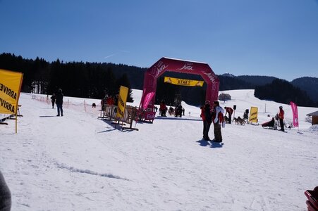 La Pesse 2014  Course de chiens de traineau  (dimanche 09/03/2014), DSC05490