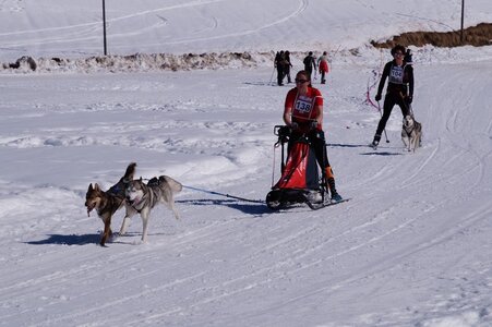 La Pesse 2014  Course de chiens de traineau  (dimanche 09/03/2014), DSC05494