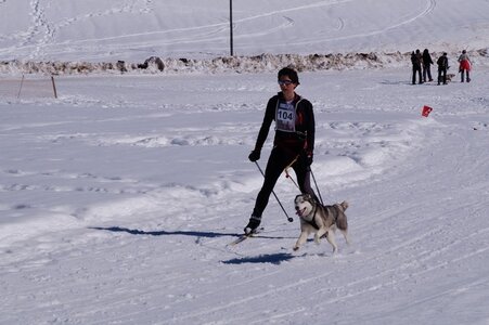 La Pesse 2014  Course de chiens de traineau  (dimanche 09/03/2014), DSC05495