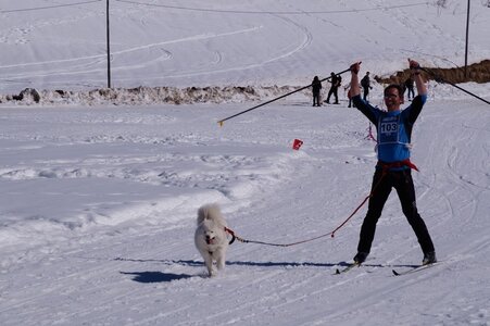 La Pesse 2014  Course de chiens de traineau  (dimanche 09/03/2014), DSC05496