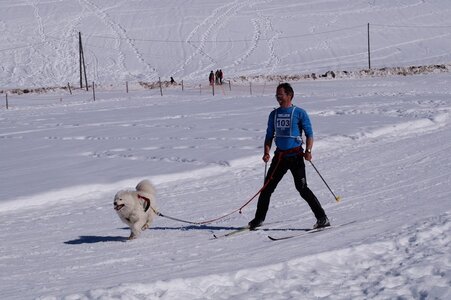 La Pesse 2014  Course de chiens de traineau  (dimanche 09/03/2014), DSC05497
