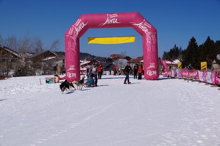 La Pesse 2014  Course de chiens de traineau  (dimanche 09/03/2014), DSC05498