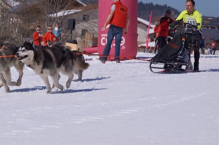 La Pesse 2014  Course de chiens de traineau  (dimanche 09/03/2014), DSC05503