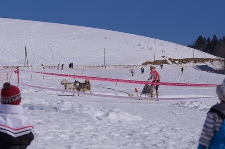 La Pesse 2014  Course de chiens de traineau  (dimanche 09/03/2014), DSC05504