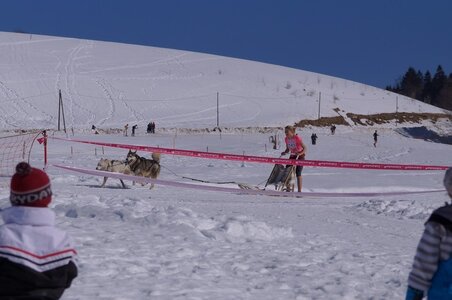 La Pesse 2014  Course de chiens de traineau  (dimanche 09/03/2014), DSC05505