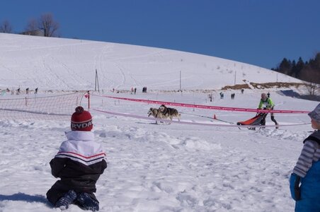 La Pesse 2014  Course de chiens de traineau  (dimanche 09/03/2014), DSC05507