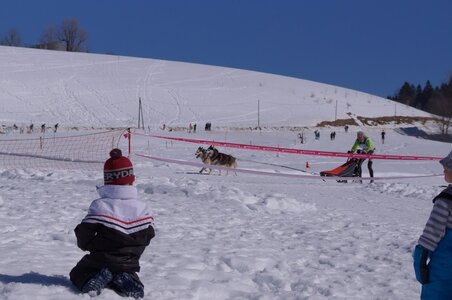 La Pesse 2014  Course de chiens de traineau  (dimanche 09/03/2014), DSC05508