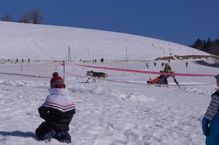 La Pesse 2014  Course de chiens de traineau  (dimanche 09/03/2014), DSC05509