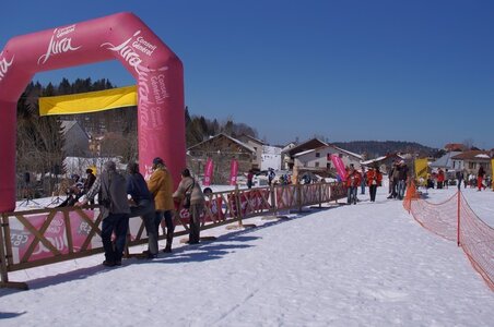 La Pesse 2014  Course de chiens de traineau  (dimanche 09/03/2014), DSC05522