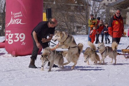 La Pesse 2014  Course de chiens de traineau  (dimanche 09/03/2014), DSC05527