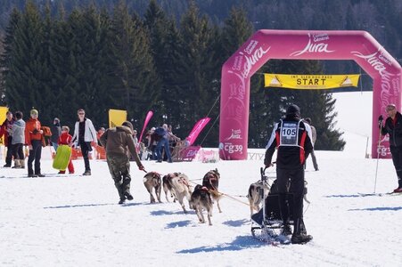 La Pesse 2014  Course de chiens de traineau  (dimanche 09/03/2014), DSC05539
