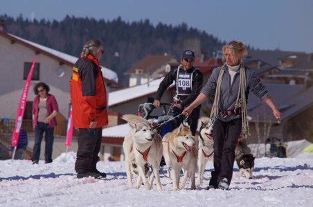 La Pesse 2014  Course de chiens de traineau  (dimanche 09/03/2014), DSC05552