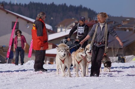 La Pesse 2014  Course de chiens de traineau  (dimanche 09/03/2014), DSC05553