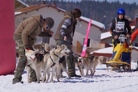 La Pesse 2014  Course de chiens de traineau  (dimanche 09/03/2014), DSC05557