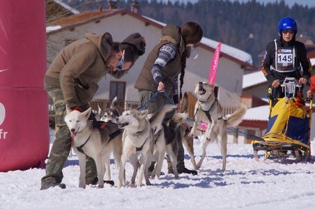La Pesse 2014  Course de chiens de traineau  (dimanche 09/03/2014), DSC05559