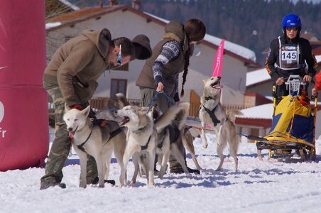 La Pesse 2014  Course de chiens de traineau  (dimanche 09/03/2014), DSC05560