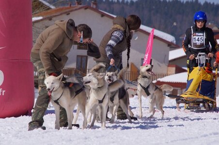 La Pesse 2014  Course de chiens de traineau  (dimanche 09/03/2014), DSC05561