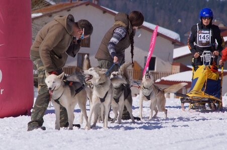 La Pesse 2014  Course de chiens de traineau  (dimanche 09/03/2014), DSC05562
