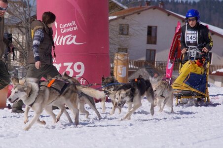 La Pesse 2014  Course de chiens de traineau  (dimanche 09/03/2014), DSC05566