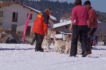 La Pesse 2014  Course de chiens de traineau  (dimanche 09/03/2014), DSC05568