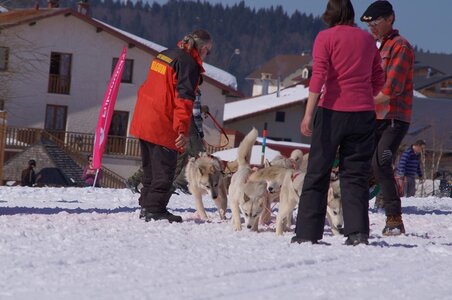 La Pesse 2014  Course de chiens de traineau  (dimanche 09/03/2014), DSC05569