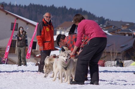 La Pesse 2014  Course de chiens de traineau  (dimanche 09/03/2014), DSC05570