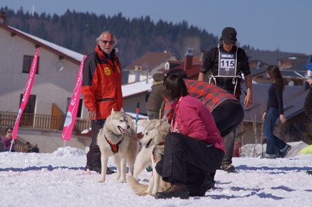 La Pesse 2014  Course de chiens de traineau  (dimanche 09/03/2014), DSC05573
