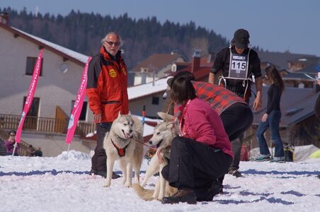 La Pesse 2014  Course de chiens de traineau  (dimanche 09/03/2014), DSC05574