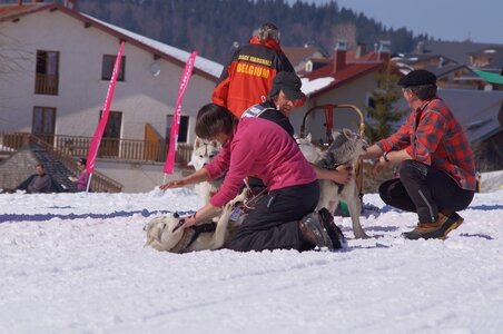 La Pesse 2014  Course de chiens de traineau  (dimanche 09/03/2014), DSC05575