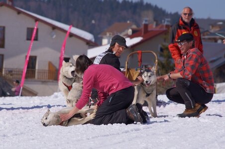 La Pesse 2014  Course de chiens de traineau  (dimanche 09/03/2014), DSC05578