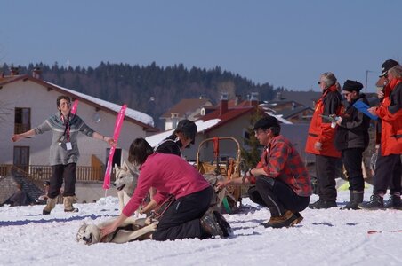La Pesse 2014  Course de chiens de traineau  (dimanche 09/03/2014), DSC05580
