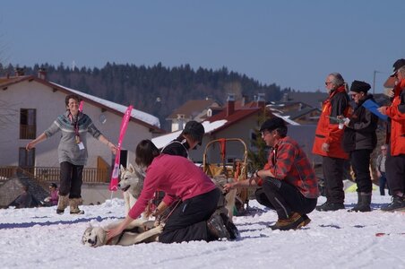 La Pesse 2014  Course de chiens de traineau  (dimanche 09/03/2014), DSC05581