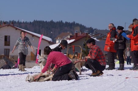 La Pesse 2014  Course de chiens de traineau  (dimanche 09/03/2014), DSC05582