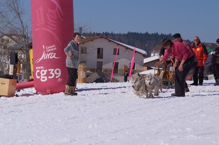 La Pesse 2014  Course de chiens de traineau  (dimanche 09/03/2014), DSC05583