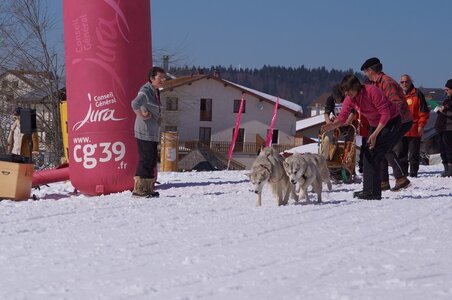 La Pesse 2014  Course de chiens de traineau  (dimanche 09/03/2014), DSC05584