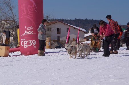 La Pesse 2014  Course de chiens de traineau  (dimanche 09/03/2014), DSC05585