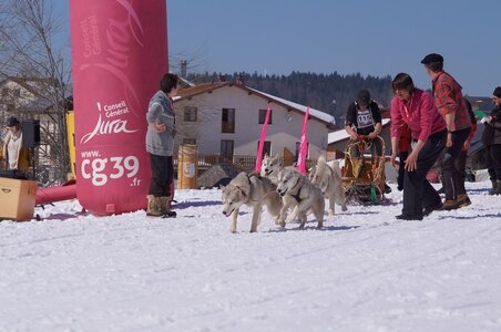La Pesse 2014  Course de chiens de traineau  (dimanche 09/03/2014), DSC05586