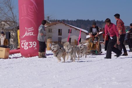 La Pesse 2014  Course de chiens de traineau  (dimanche 09/03/2014), DSC05587