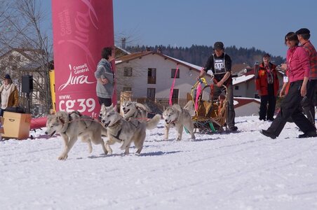 La Pesse 2014  Course de chiens de traineau  (dimanche 09/03/2014), DSC05590