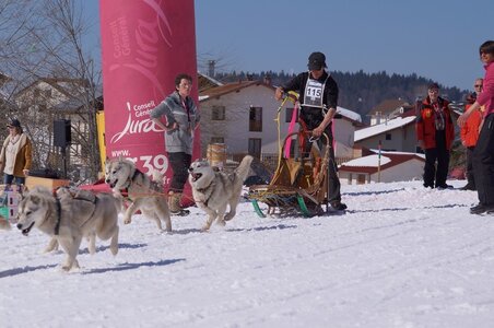 La Pesse 2014  Course de chiens de traineau  (dimanche 09/03/2014), DSC05593