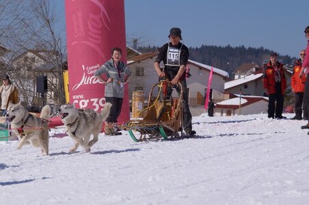 La Pesse 2014  Course de chiens de traineau  (dimanche 09/03/2014), DSC05595